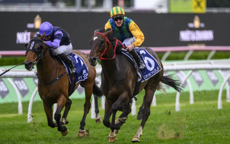 門對其虎視 門對其虎視