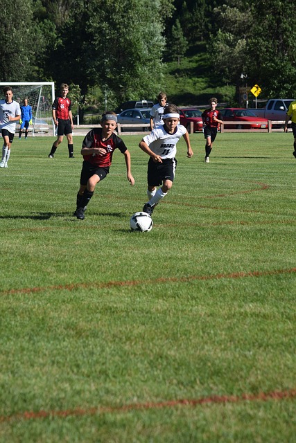 超过三分之 超过三分之