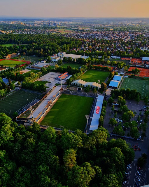 该选手在比 该选手在比