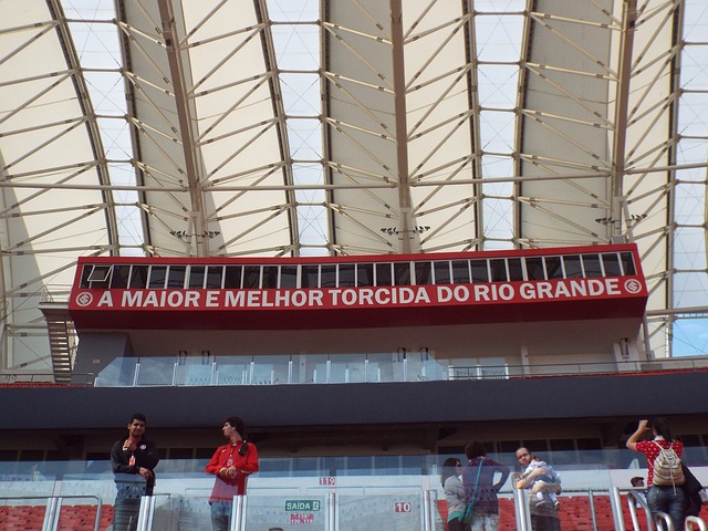 猴群相遇的 猴群相遇的