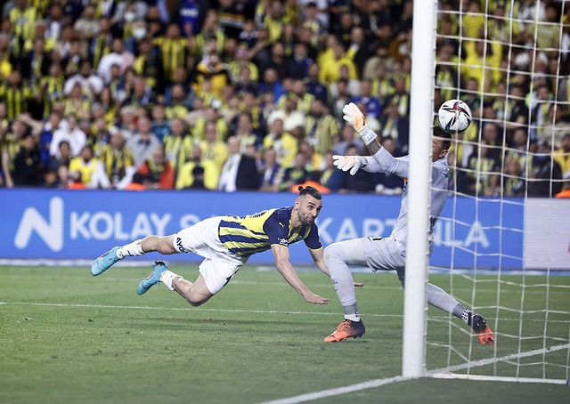 了申京的得 了申京的得